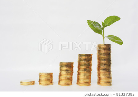 Seedlings growing from increasing gold coins 91327392