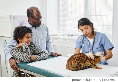 Black boy and his grandpa watching professional vet palpating their bengal cat during medical check up 91328260