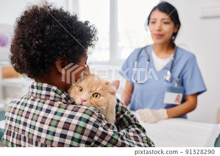 Unrecognizable Black boy bringing fluffy ginger cat to vet for health check up, selective focus shot Unrecognizable Black boy bringing fluffy ginger cat to vet for health check up, selective focus shot 91328290