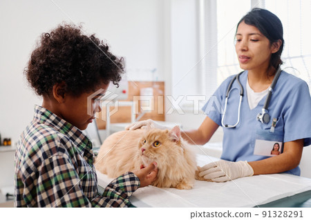 Preteen Black boy scratching chin of his fluffy ginger cat during health check-up in vet clinic Preteen Black boy scratching chin of his fluffy ginger cat during health check-up in vet clinic 91328291