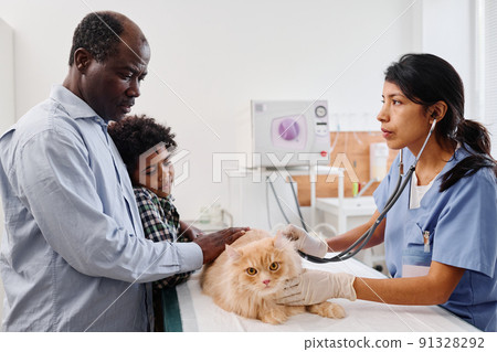 African American man and his son petting their ginger cat to comfort it during health check-up in veterinary clinic African American man and his son petting their ginger cat to comfort it during health check-up in veterinary clinic 91328292