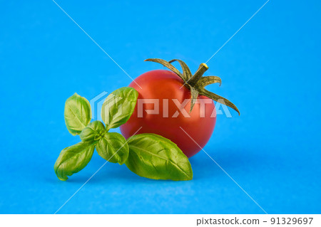 Fresh green basil leaves and cherry tomatoes Fresh green basil leaves and cherry tomatoes 91329697