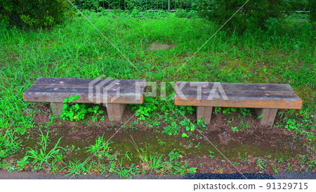 Scenery with benches in Urban Agricultural Park (Adachi-ku, Tokyo) 91329715