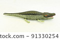 Vintage tin toy crocodile , tin toy crocodile  91330254