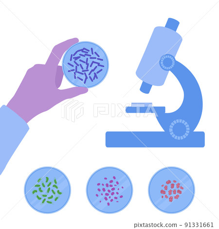 Bacteria cell colony medical diagram icon set 91331661