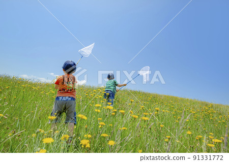 Back view of brothers catching insects on a hill where wild flowers bloom Back view of brothers catching insects on a hill where wild flowers bloom 91331772