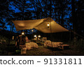 Camping with a large dog Lantern night 91331811