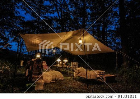 Camping with a large dog Lantern night Camping with a large dog Lantern night 91331811