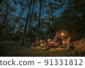 Forest camp large dog magic hour 91331812