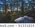 Forest camp Large dog Magic hour Dusk Yatsugatake 91331814