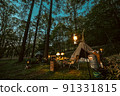 Forest camp dusk large dog 91331815
