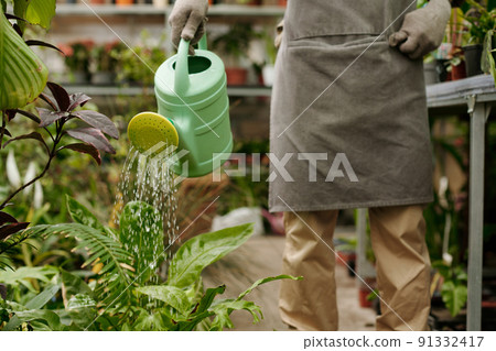 Gardener watering plants with watering can Gardener watering plants with watering can 91332417