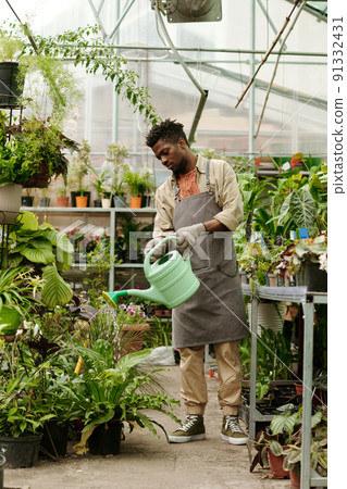 Gardener watering plants in greenhouse Gardener watering plants in greenhouse 91332431