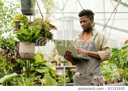 African man using laptop in greenhouse 91332695