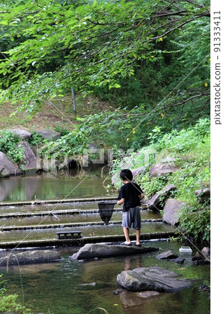 埼玉縣鳩山町鄉村公園的散步道上，流淌著綠意盎然的清澈溪流，喜歡用網捕魚的男孩。 91333411