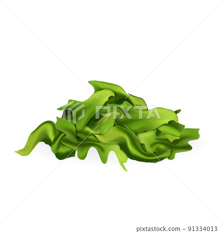 Spirulina Seaweed Leaves Food Ingredient Vector Spirulina Seaweed Leaves Food Ingredient Vector 91334013