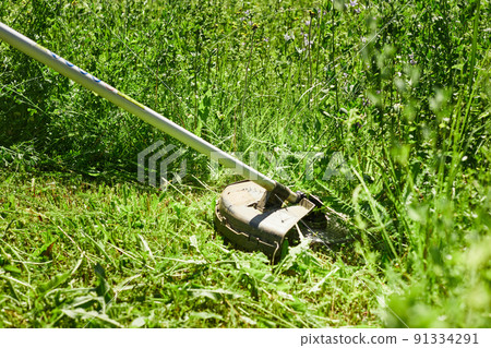 A man mows the grass in the field with a trimmer. Yard care concept. Front view. A man mows the grass in the field with a trimmer. Yard care concept. Front view. 91334291