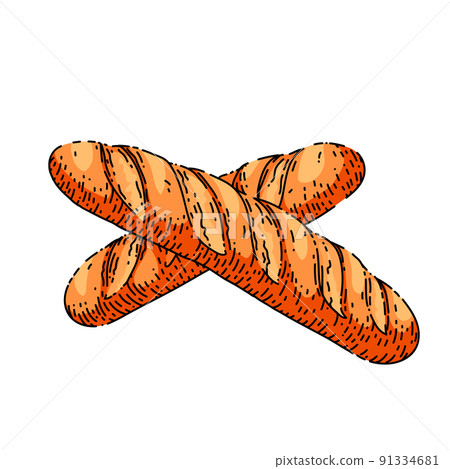 french bread sketch hand drawn vector 91334681