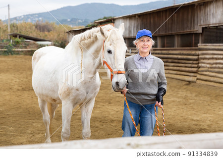 Mature woman walking white horse in paddock 91334839