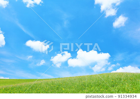 Beautiful summer blue sky and fresh green plateau scenery 91334934