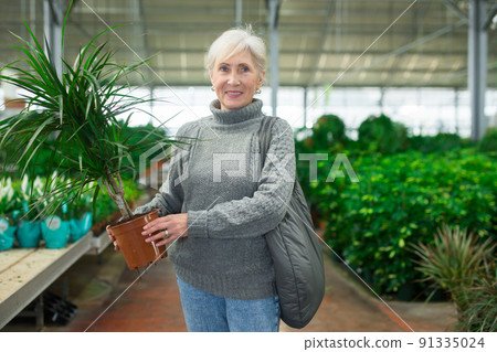 Elderly woman purchasing potted dracaena in garden store 91335024