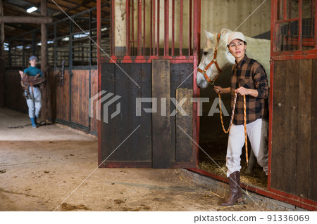 Asian female rancher leading white horse out of stall in stable Asian female rancher leading white horse out of stall in stable 91336069