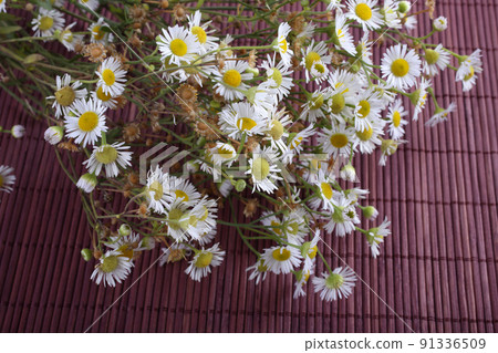 Camomiles on bamboo background Camomiles on bamboo background 91336509