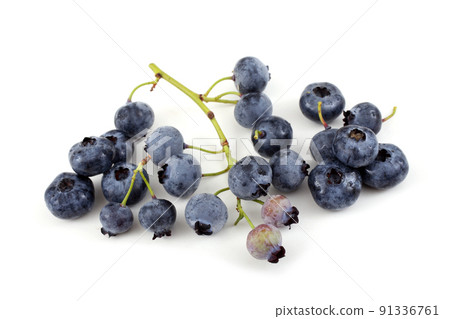 Blueberries 91336761