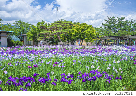 Ayame Park 91337031