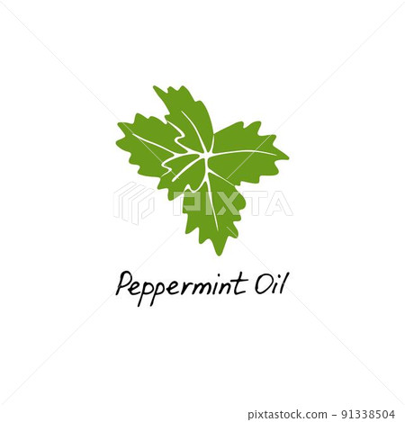 Mint green vector illustration. Hand drawn peppermint logo. Peppermint oil for cosmetic design Mint green vector illustration. Hand drawn peppermint logo. Peppermint oil for cosmetic design 91338504