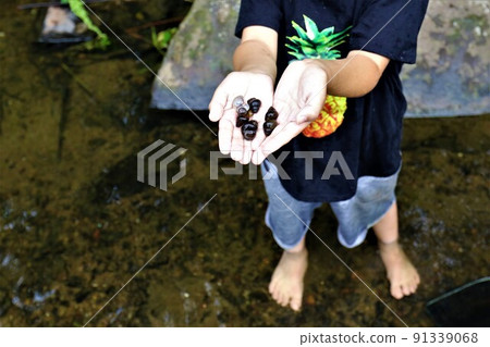 He showed me a snail that a boy happily picked up in a stream along the promenade of a rural park in Hatoyama Town, Saitama Prefecture. 91339068