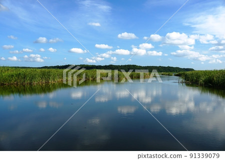 Calm summer blue sky with cotton clouds and Imba-numa Ver2 91339079