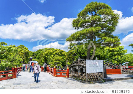 [Kanagawa Prefecture] Tsurugaoka Hachimangu in Kamakura, where the blue sky and fresh green are beautiful 91339175