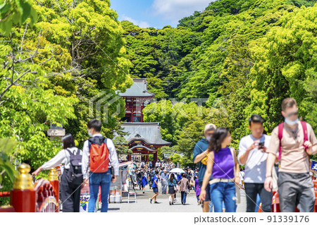 [Kanagawa Prefecture] Tsurugaoka Hachimangu in Kamakura with beautiful fresh greenery 91339176