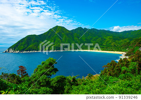 蔚藍的大海和邊塚川沿岸的風景 蔚藍的大海和邊塚川沿岸的風景 91339246