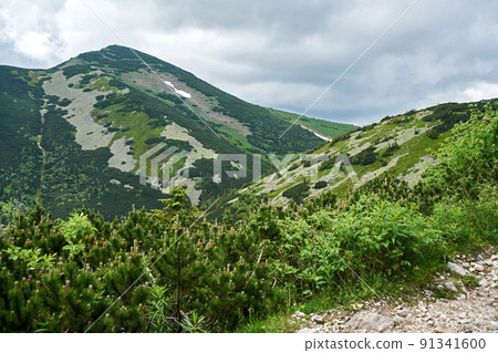 Natural landscape in the foothills of the High Tatras in the north of Slovakia in early summer with wide valleys and green meadows. 91341600
