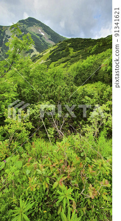 Natural landscape in the foothills of the High Tatras in the north of Slovakia in early summer with wide valleys and green meadows. Natural landscape in the foothills of the High Tatras in the north of Slovakia in early summer with wide valleys and green meadows. 91341621
