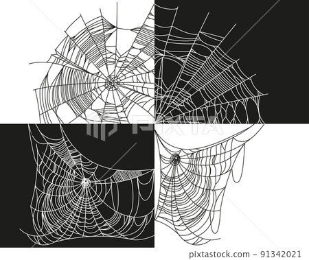 Spider web parts isolated on black and white background. Scary cobweb outline decor. Vector design elements for Halloween, horror, ghost or monster party, invitation and posters. 91342021