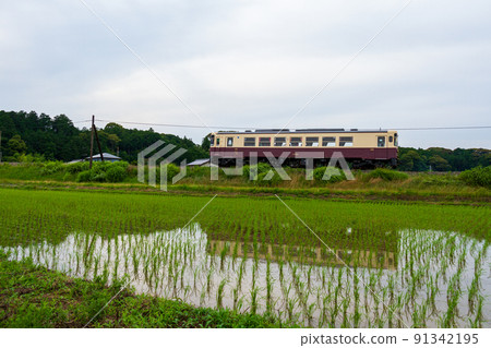 靜岡縣福井市河江天龍濱名湖鐵路和沿線風景 靜岡縣福井市河江天龍濱名湖鐵路和沿線風景 91342195