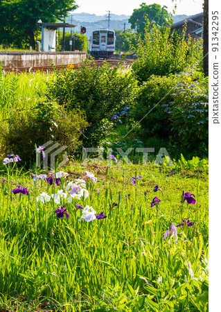Ichinomiya, Mori-machi, Shuchi-gun, Shizuoka Prefecture Tenryu Hamanako Railway and scenery along the line 91342295