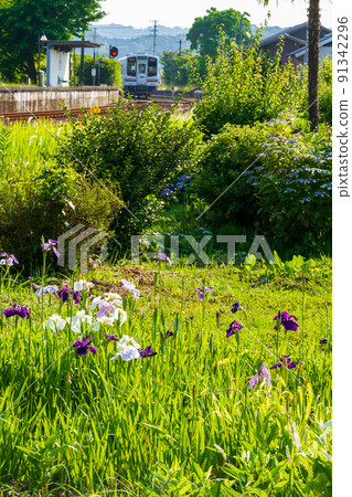 Ichinomiya, Mori-machi, Shuchi-gun, Shizuoka Prefecture Tenryu Hamanako Railway and scenery along the line 91342296
