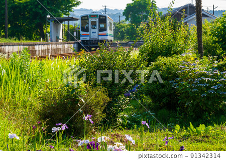 Ichinomiya, Mori-machi, Shuchi-gun, Shizuoka Prefecture Tenryu Hamanako Railway and scenery along the line 91342314