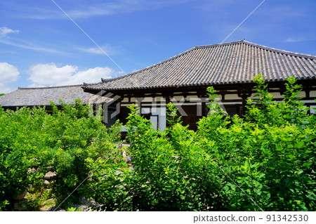 奈良町、元後寺、杏花盛開的雨季 奈良町、元後寺、杏花盛開的雨季 91342530