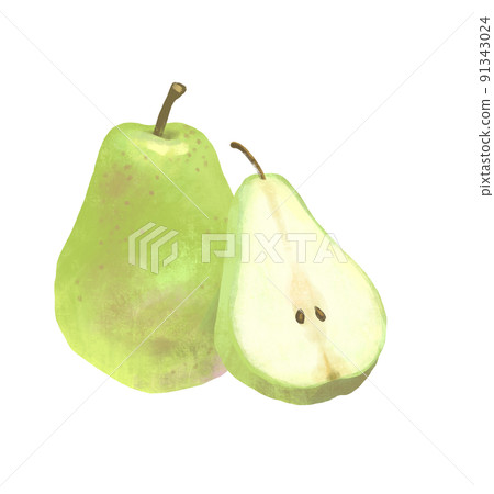 Autumn taste fruit pear illustration 91343024