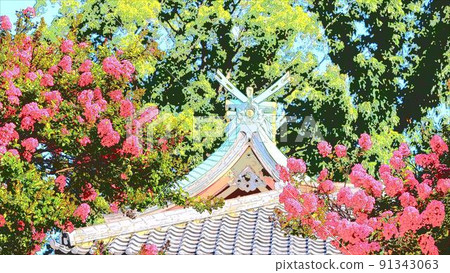 紫薇和神社屋頂 紫薇和神社屋頂 91343063