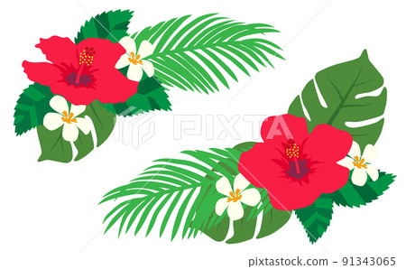 芙蓉和雞蛋花的排列 芙蓉和雞蛋花的排列 91343065