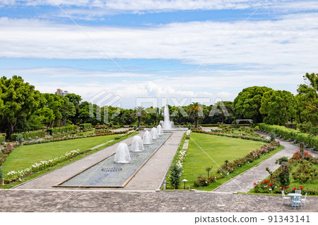 神戶須磨離休公園的玫瑰園和噴泉廣場 91343141