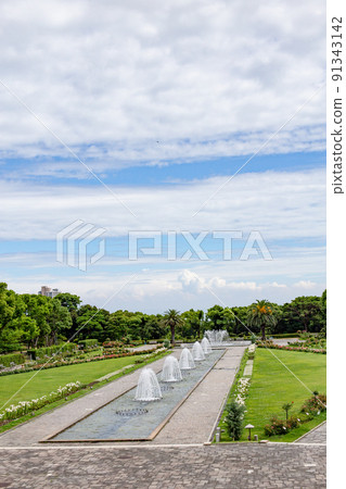神戶須磨離休公園的玫瑰園和噴泉廣場 91343142