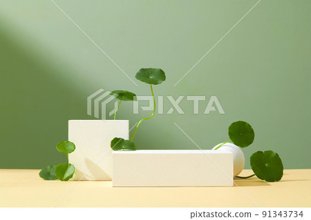 Abstract minimal scene with geometric forms. Cubes white podium in green background with Centella Asiatica (gotu kola).  91343734