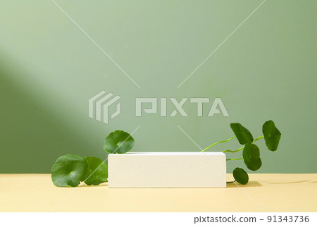 Background green with podium. Stand to show cosmetic products. Centella asiatica 91343736